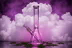 WTF BONG- 12 INCH TALL BEAKER-B2